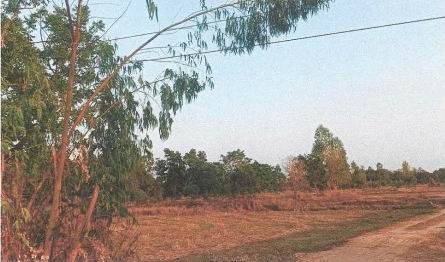 รูปที่ดินว่างเปล่า หนองพลวง ประทาย นครราชสีมา