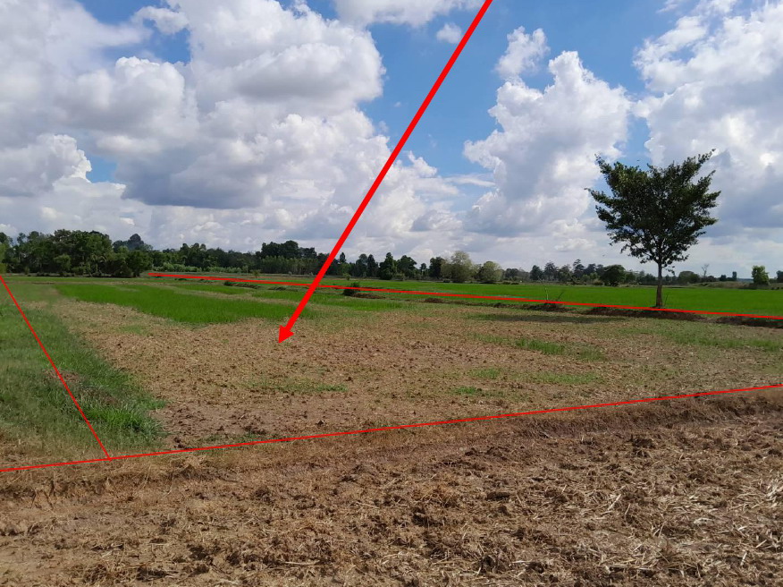 รูปที่ดินว่างเปล่า เกาะแก้ว สำโรงทาบ สุรินทร์