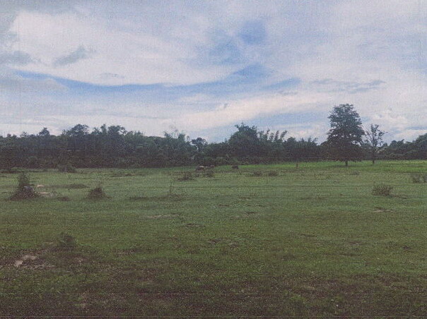 รูปที่ดินว่างเปล่า คำป่าหลาย เมืองมุกดาหาร มุกดาหาร
