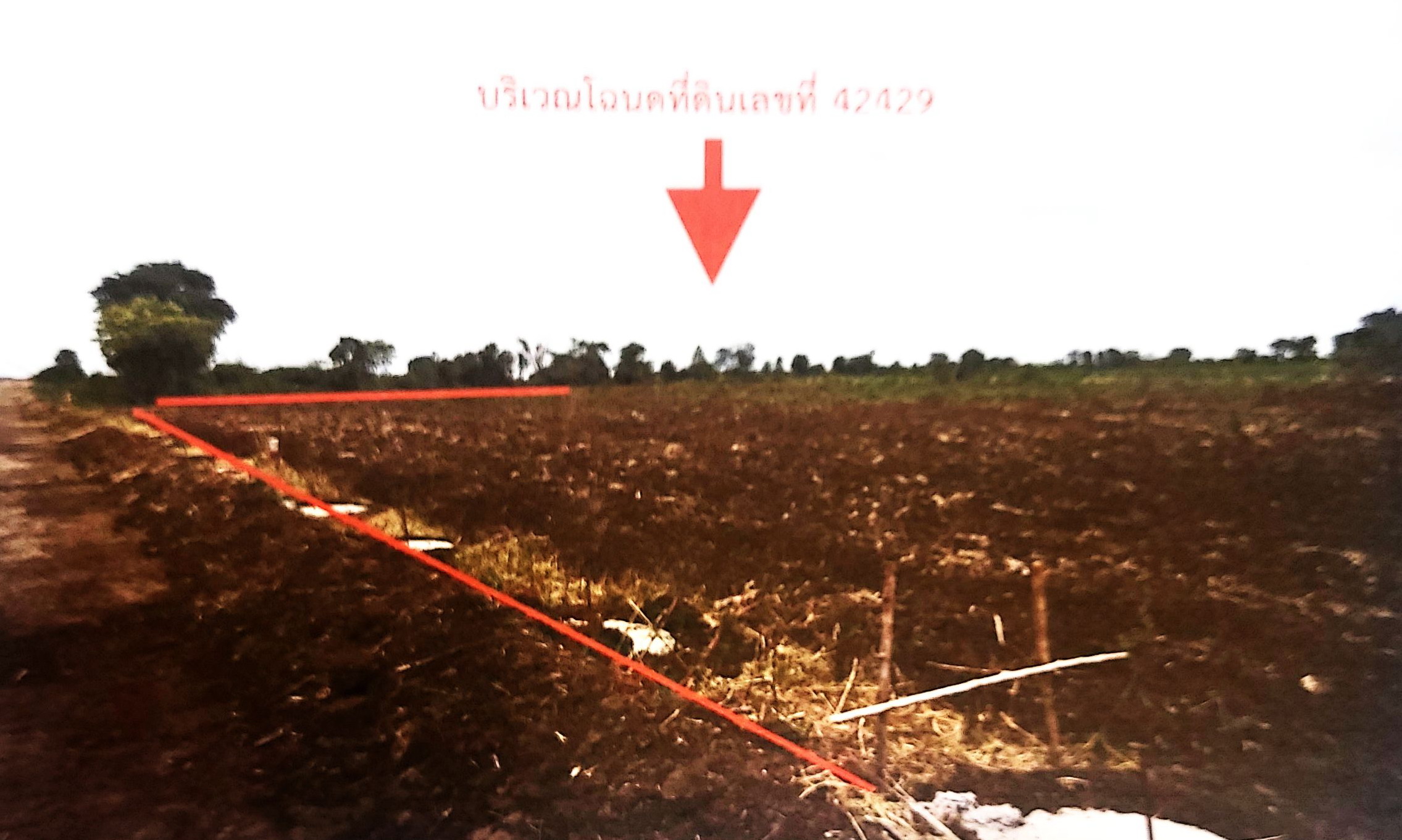รูปที่ดินว่างเปล่า โนนค่า สูงเนิน นครราชสีมา