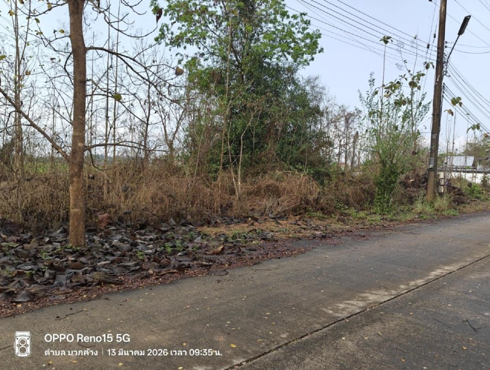 รูปที่ดินว่างเปล่า บวกค้าง สันกำแพง เชียงใหม่