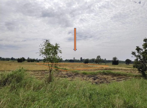 รูปที่ดินว่างเปล่า หนองอีบุตร ห้วยผึ้ง กาฬสินธุ์