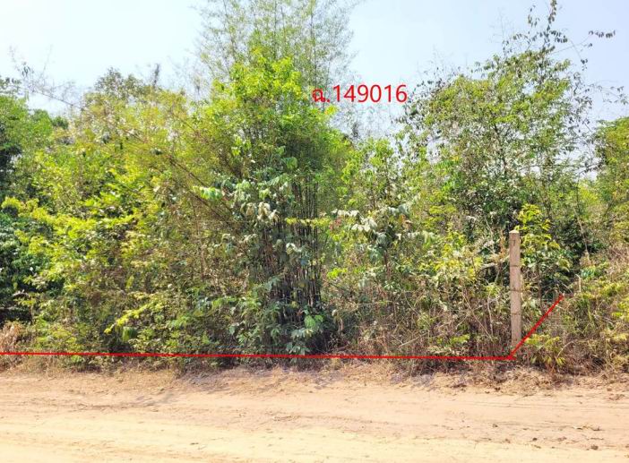 รูปที่ดินว่างเปล่า ปะอาว เมืองอุบลราชธานี อุบลราชธานี