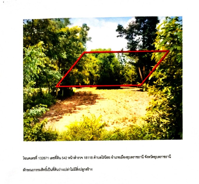 รูปที่ดินว่างเปล่า ไร่น้อย เมืองอุบลราชธานี อุบลราชธานี