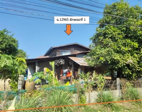 รูปที่ดินพร้อมสิ่งปลูกสร้าง หัวนาคำ ยางตลาด กาฬสินธุ์