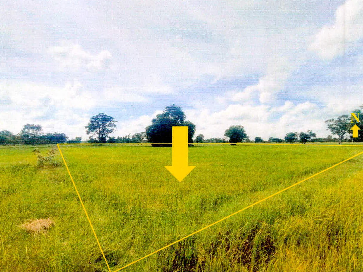 รูปที่ดินว่างเปล่า แขม อุทุมพรพิสัย ศรีสะเกษ