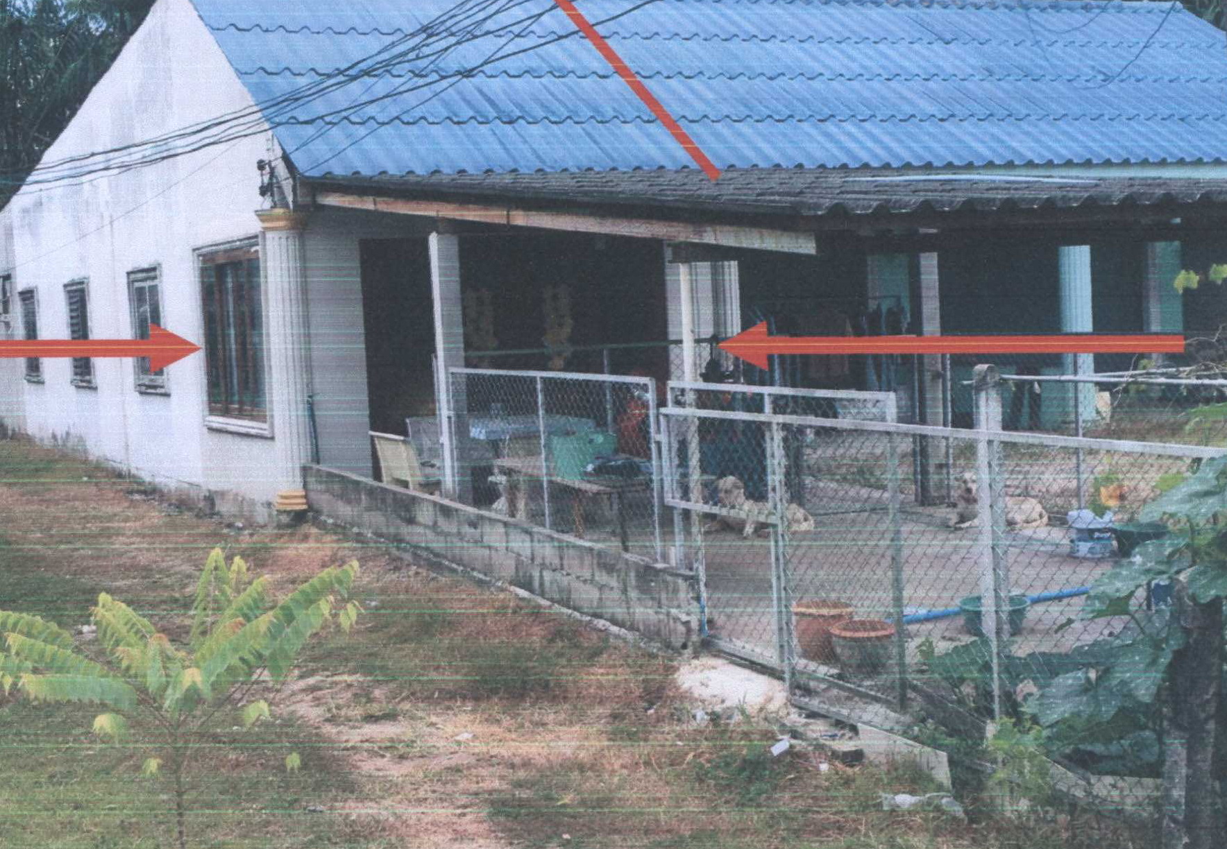 รูปที่ดินพร้อมสิ่งปลูกสร้าง ปกาสัย เหนือคลอง กระบี่