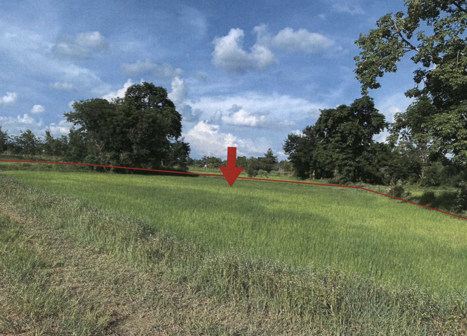 รูปที่ดินว่างเปล่า หนองโน เมืองมหาสารคาม มหาสารคาม