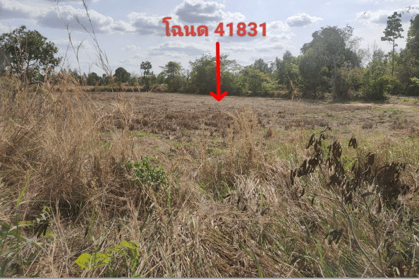 รูปที่ดินว่างเปล่า บ้านแดง ตระการพืชผล อุบลราชธานี
