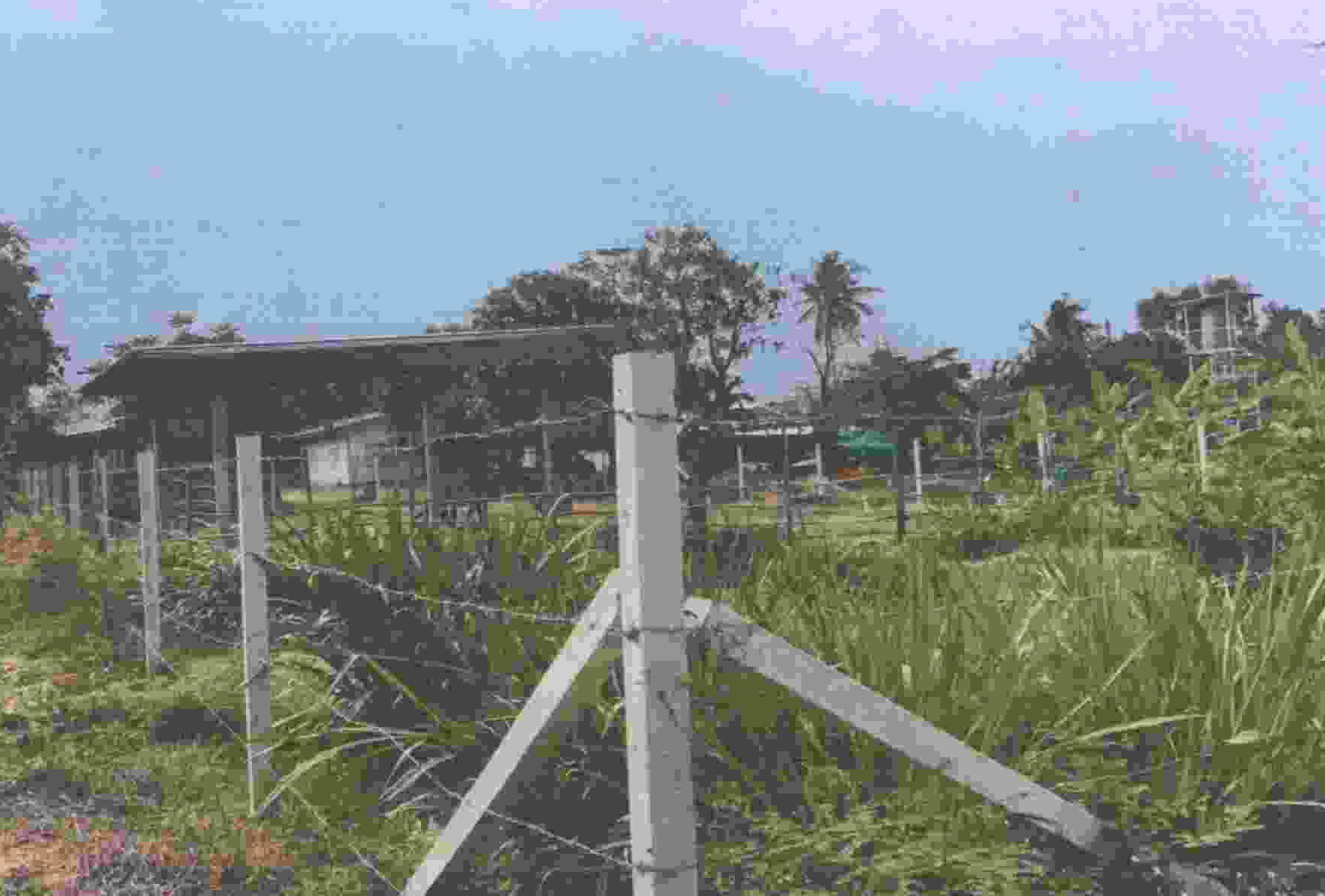 รูปที่ดินพร้อมสิ่งปลูกสร้าง ตะขบ ปักธงชัย นครราชสีมา