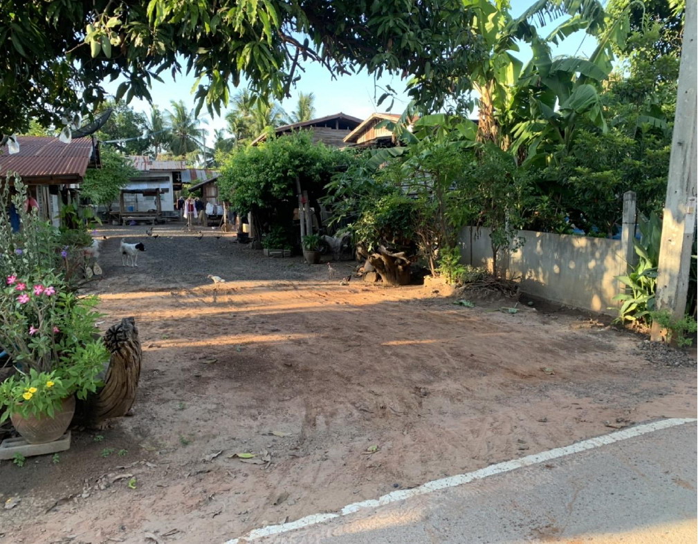 รูปที่ดินว่างเปล่า สารภี หนองบุนนาก นครราชสีมา