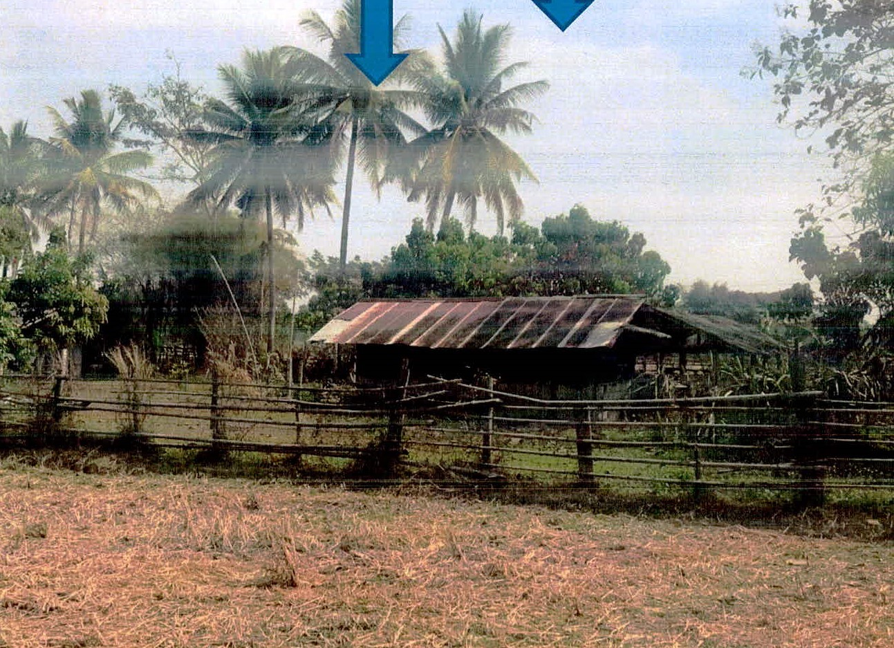 รูปที่ดินว่างเปล่า เมืองยาว ห้างฉัตร ลำปาง