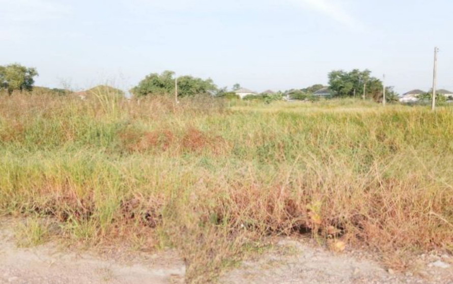 รูปที่ดินว่างเปล่า โคกแฝด หนองจอก กรุงเทพมหานคร