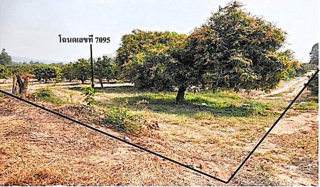 รูปที่ดินว่างเปล่า หินลาด วัดโบสถ์ พิษณุโลก