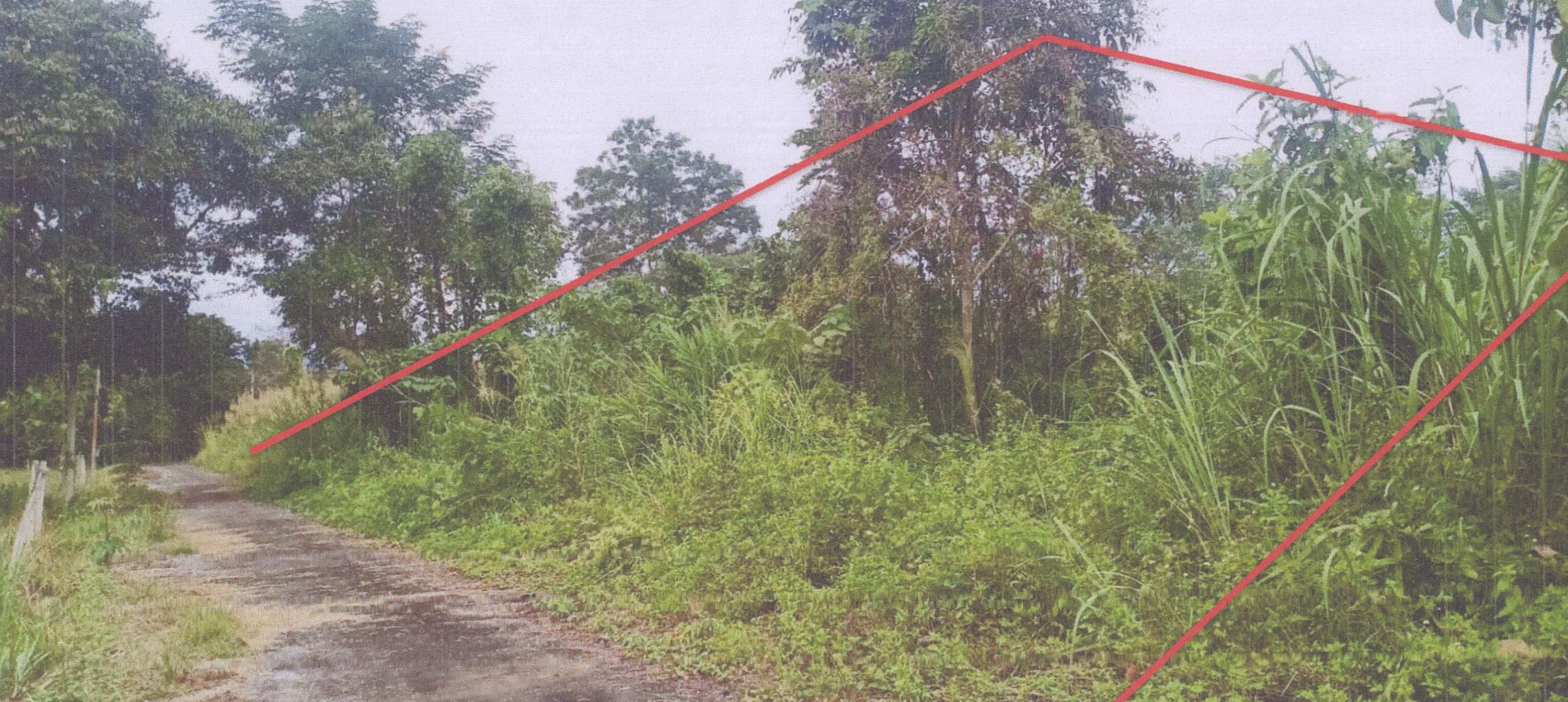 รูปที่ดินว่างเปล่า แม่ยาว เมืองเชียงราย เชียงราย