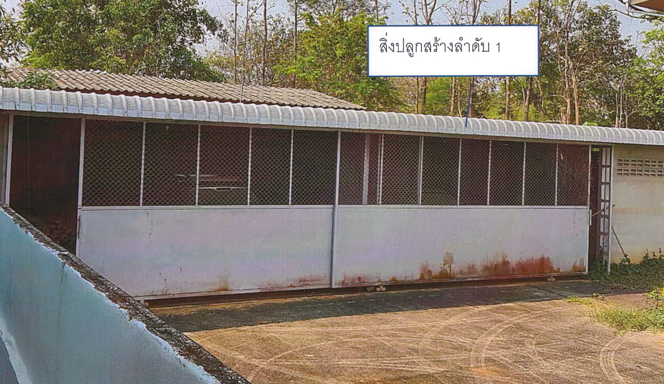รูปที่ดินพร้อมสิ่งปลูกสร้าง แม่สาย แม่สาย เชียงราย