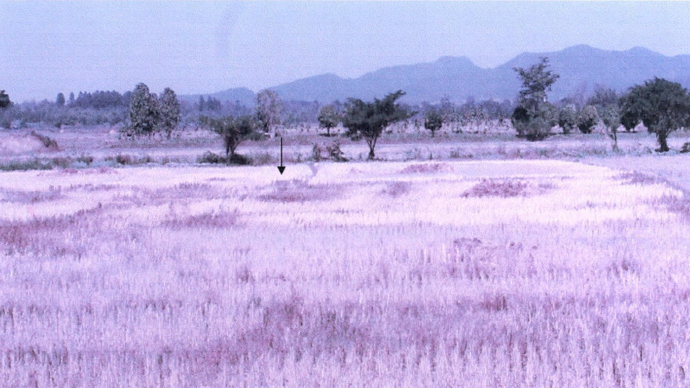 รูปที่ดินว่างเปล่า ดอยลาน เมืองเชียงราย เชียงราย
