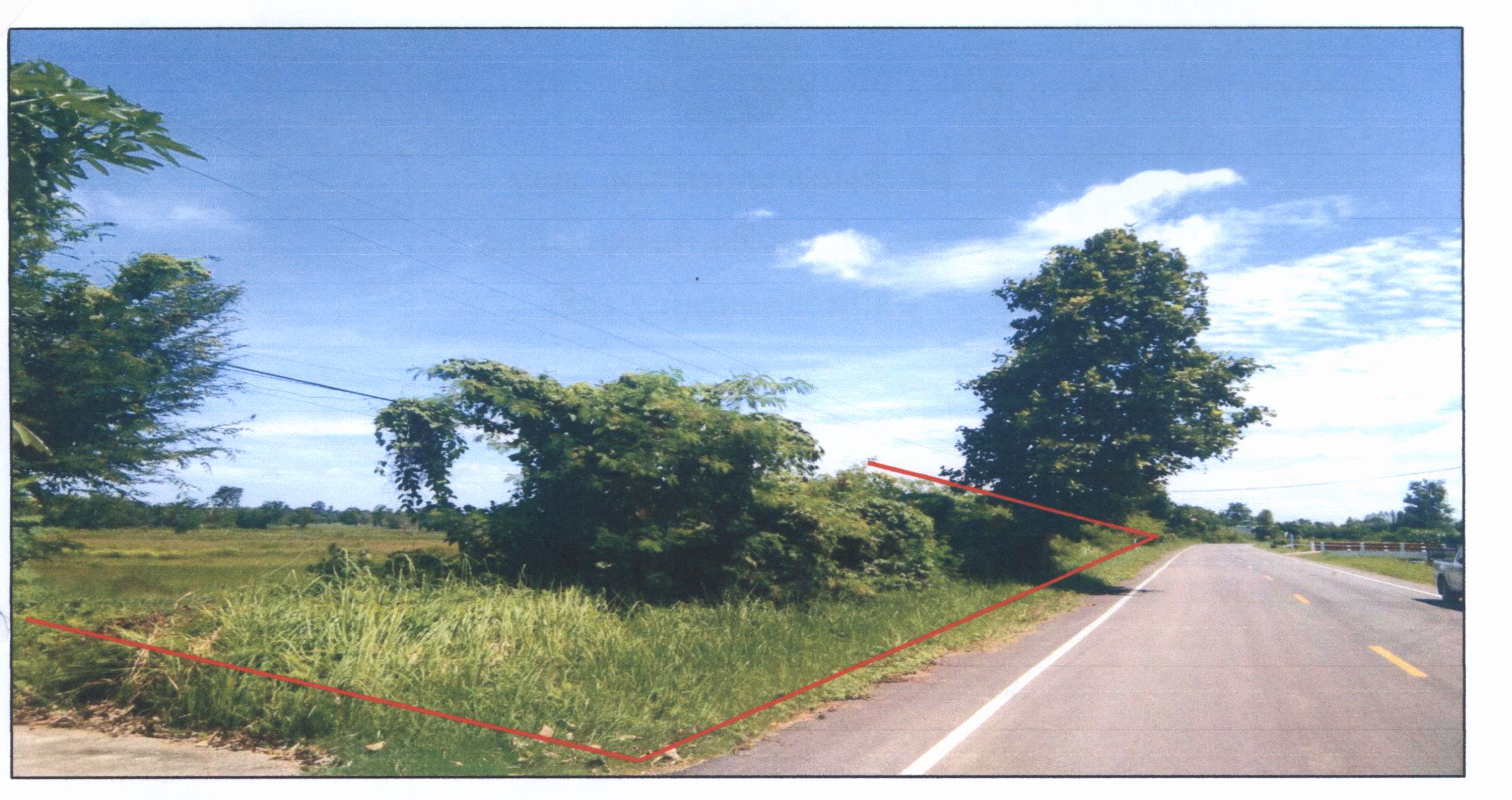 รูปที่ดินว่างเปล่า นาดี เมือง อุดรธานี