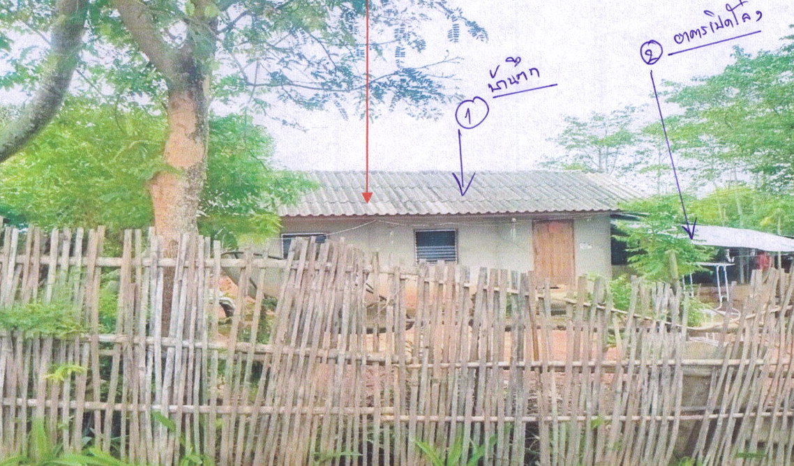 รูปที่ดินพร้อมสิ่งปลูกสร้าง โยนก เชียงแสน เชียงราย