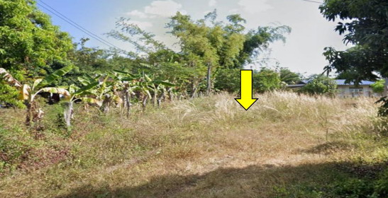 รูปที่ดินว่างเปล่า บุ่งไหม วารินชำราบ อุบลราชธานี