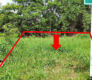 รูปที่ดินว่างเปล่า สระนกแก้ว โพนทอง ร้อยเอ็ด