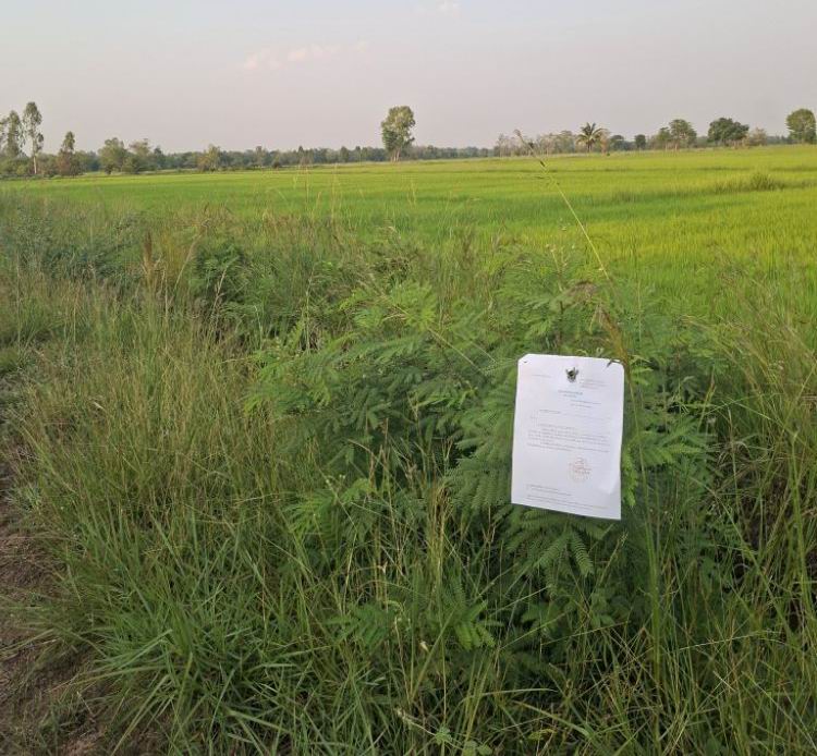 รูปที่ดินว่างเปล่า หนองซอน เชียงยืน มหาสารคาม