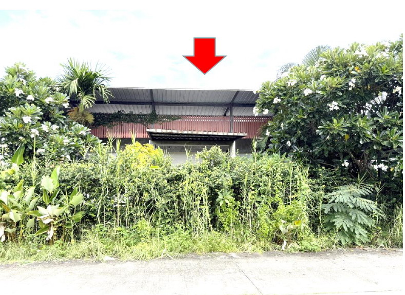 รูปที่ดินพร้อมสิ่งปลูกสร้าง สันโป่ง แม่ริม เชียงใหม่
