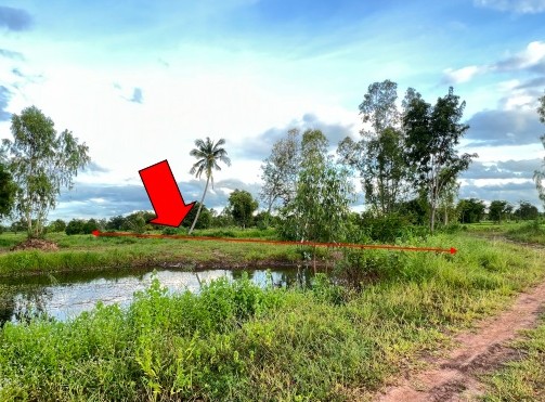 รูปที่ดินว่างเปล่า โคกสมบูรณ์ กมลาไสย กาฬสินธุ์
