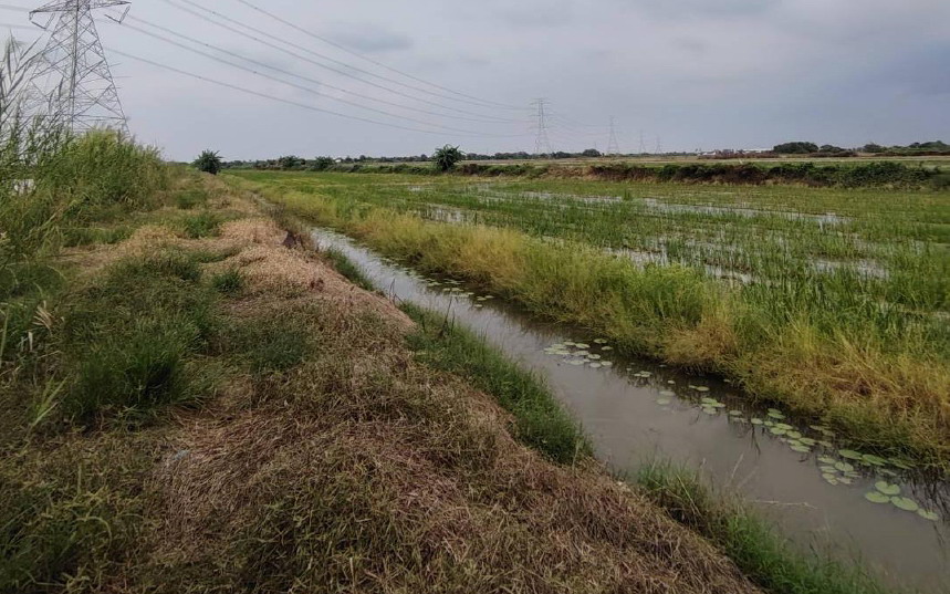 รูปที่ดินว่างเปล่า ขุนศรี ไทรน้อย นนทบุรี