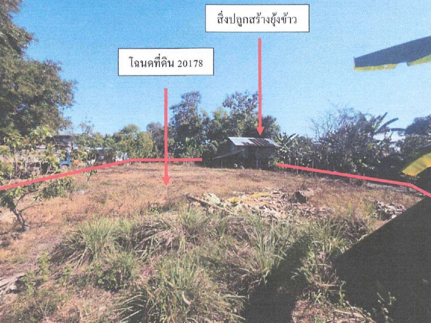 รูปที่ดินพร้อมสิ่งปลูกสร้าง แม่พริก แม่สรวย เชียงราย