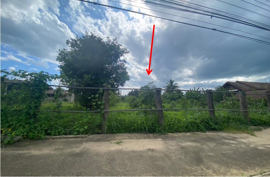 รูปที่ดินว่างเปล่า ป่างิ้ว เวียงป่าเป้า เชียงราย