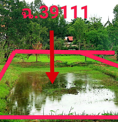 รูปที่ดินว่างเปล่า ขามป้อม เขมราฐ อุบลราชธานี