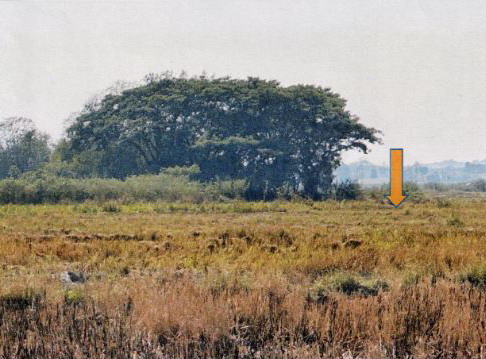 รูปที่ดินว่างเปล่า ดอยลาน เมืองเชียงราย เชียงราย