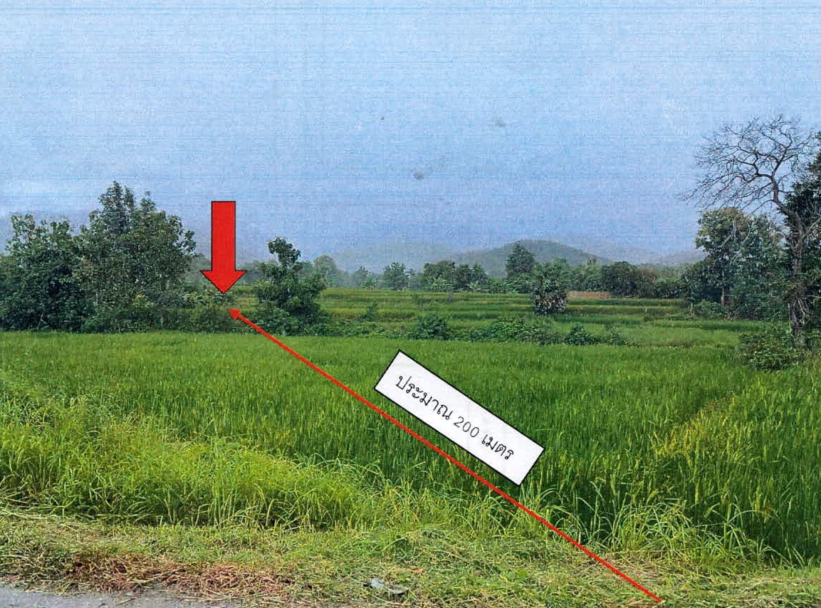 รูปที่ดินว่างเปล่า ดอนไฟ แม่ทะ ลำปาง
