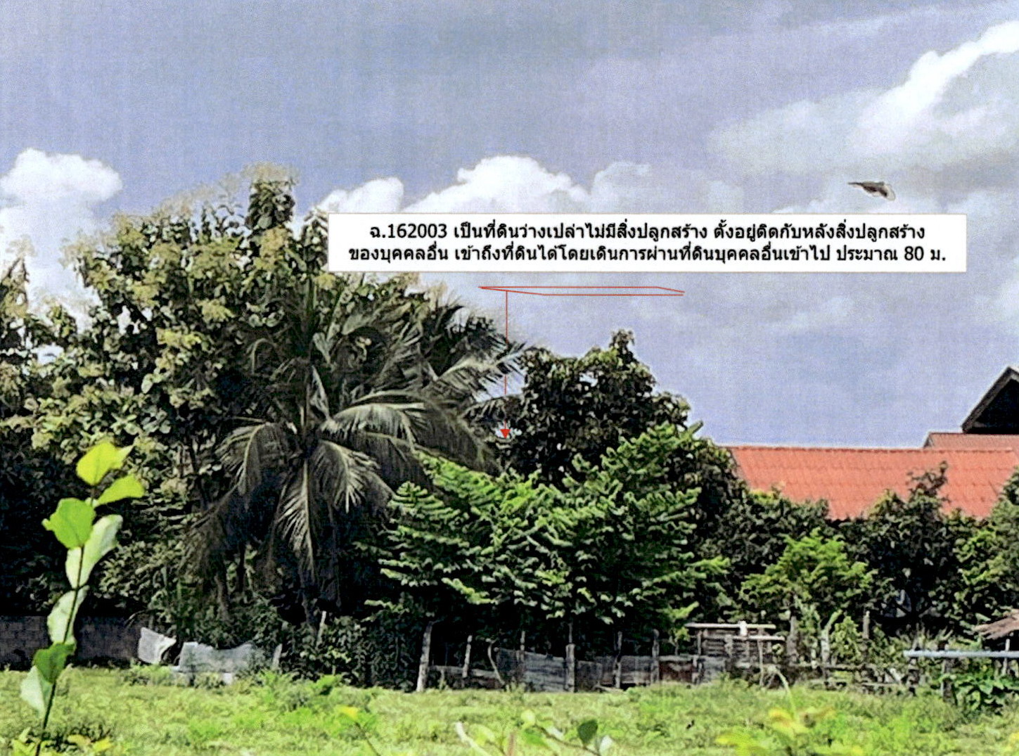 รูปที่ดินว่างเปล่า ชมพู เมืองลำปาง ลำปาง