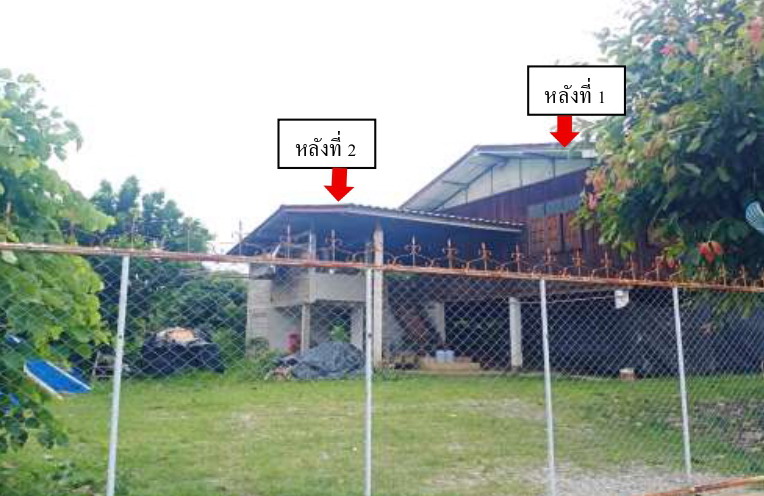 รูปที่ดินพร้อมสิ่งปลูกสร้าง ป่าซาง เวียงเชียงรุ้ง เชียงราย