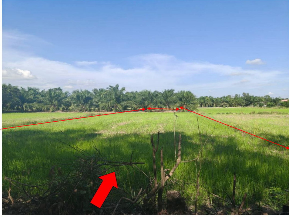 รูปที่ดินว่างเปล่า คูหาใต้ รัตภูมิ สงขลา
