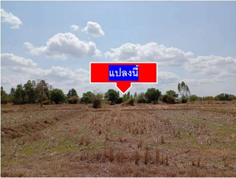 รูปที่ดินว่างเปล่า หัวนาคำ ยางตลาด กาฬสินธุ์