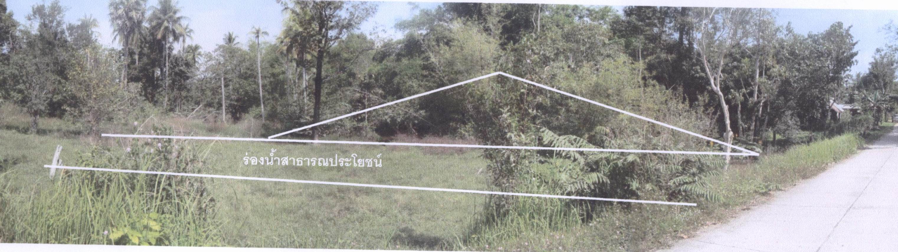 รูปที่ดินว่างเปล่า โพนงาม บุณฑริก อุบลราชธานี