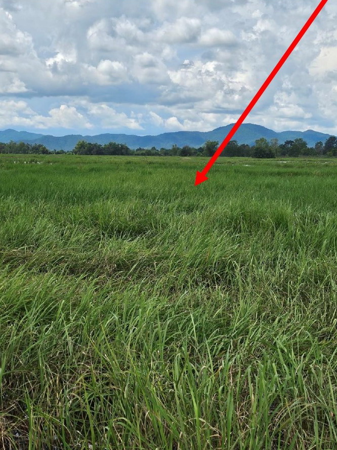 รูปที่ดินว่างเปล่า หงส์หิน จุน พะเยา