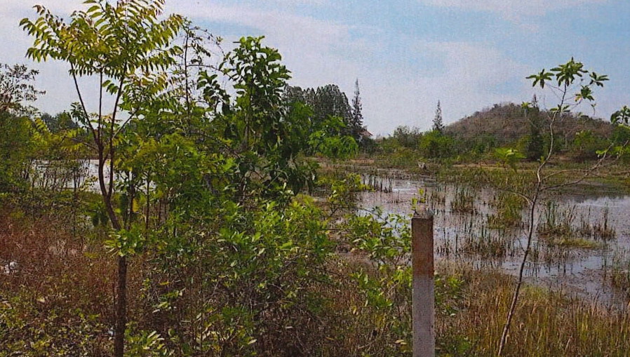 รูปที่ดินว่างเปล่า หินกอง เมืองราชบุรี ราชบุรี