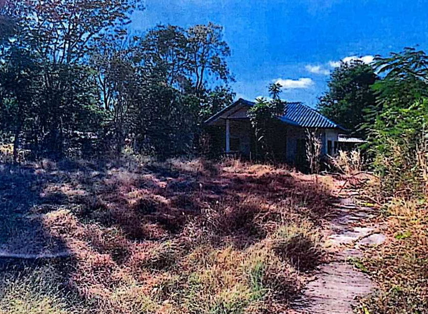 รูปที่ดินพร้อมสิ่งปลูกสร้าง หนองบัว เมืองหนองบัวลำภู หนองบัวลำภู