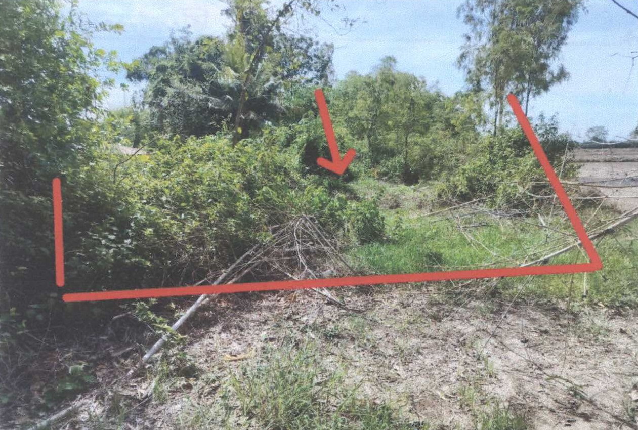 รูปที่ดินว่างเปล่า ท่าขมิ้น โพทะเล พิจิตร