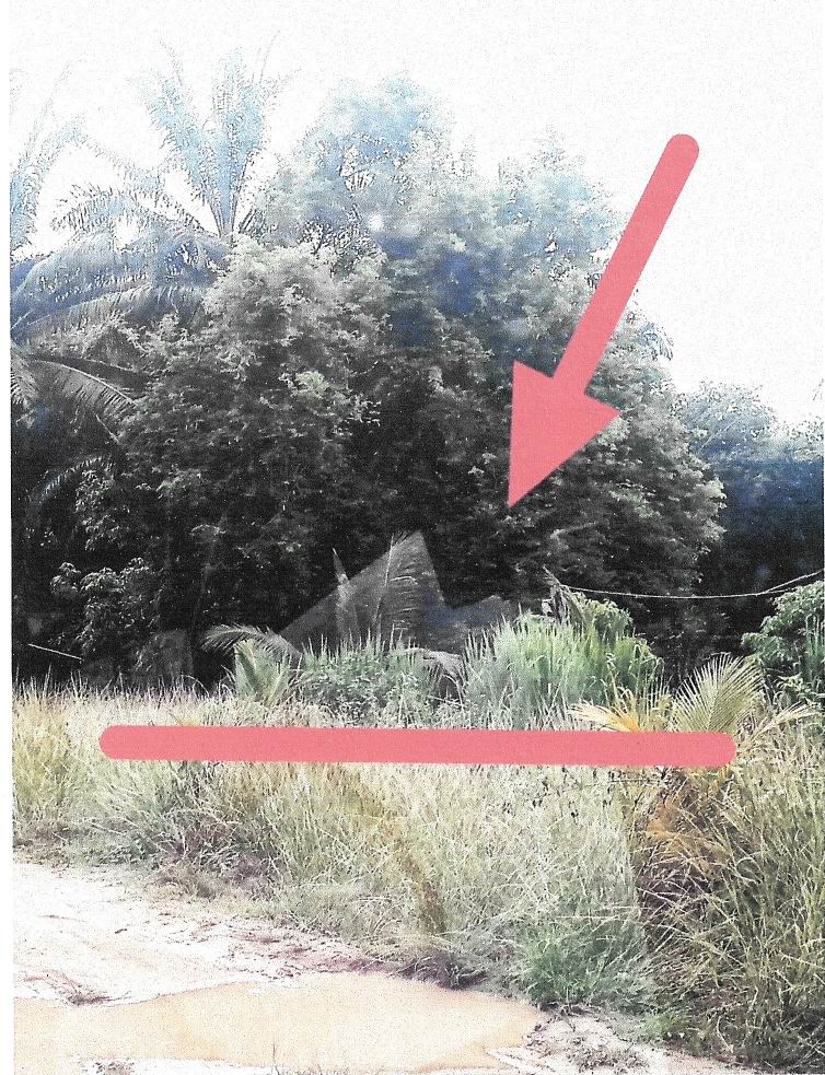 รูปที่ดินว่างเปล่า ตะกุกเหนือ วิภาวดี สุราษฎร์ธานี