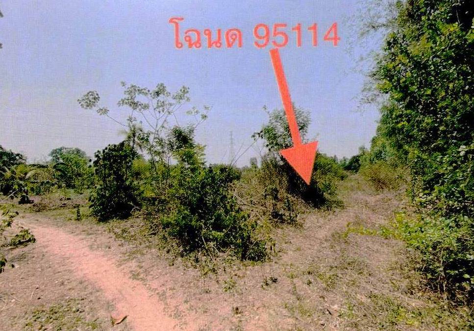 รูปที่ดินว่างเปล่า โพนสว่าง เมืองหนองคาย หนองคาย