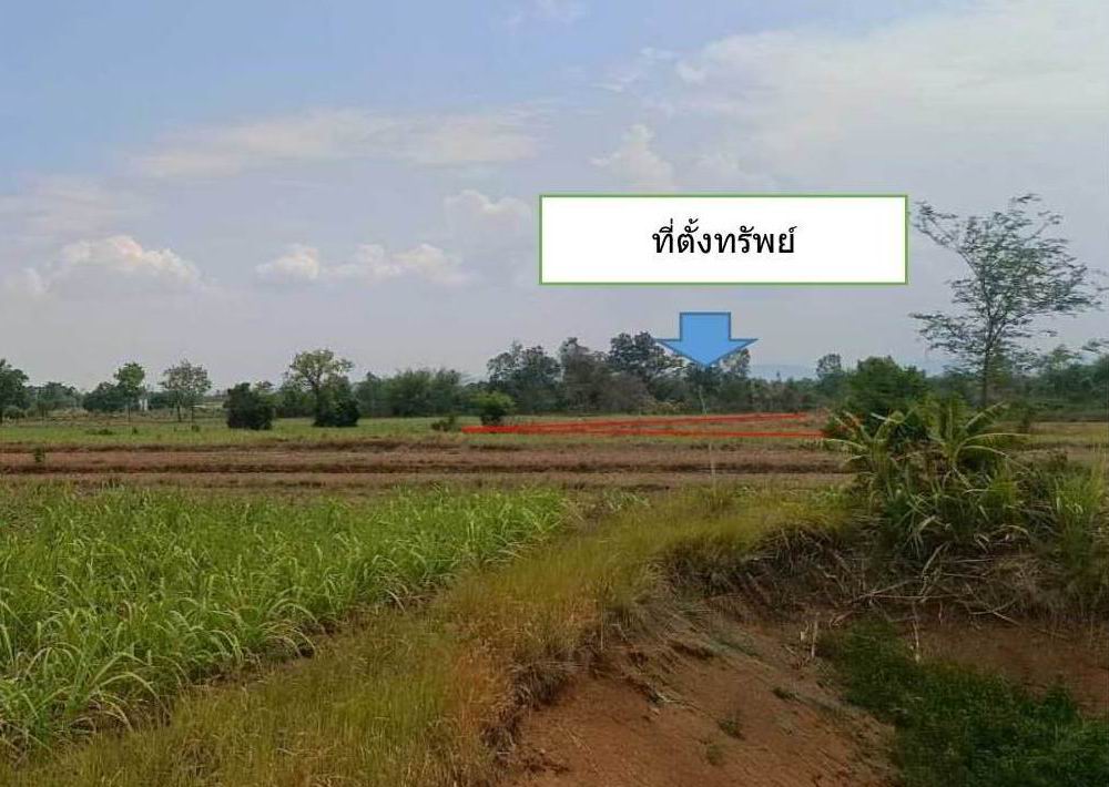 รูปที่ดินว่างเปล่า ป่าไม้งาม เมืองหนองบัวลำภู หนองบัวลำภู