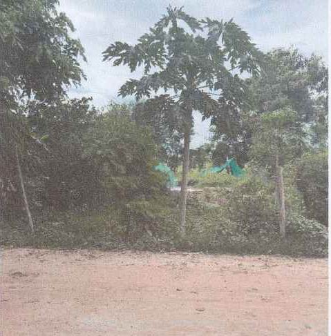 รูปที่ดินว่างเปล่า ด่านใน ด่านขุนทด นครราชสีมา