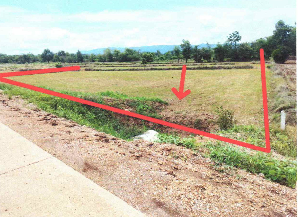 รูปที่ดินว่างเปล่า เพชรละคร หนองไผ่ เพชรบูรณ์