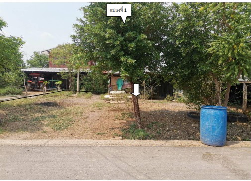รูปที่ดินว่างเปล่า หนองบัวแดง หนองบัวแดง ชัยภูมิ