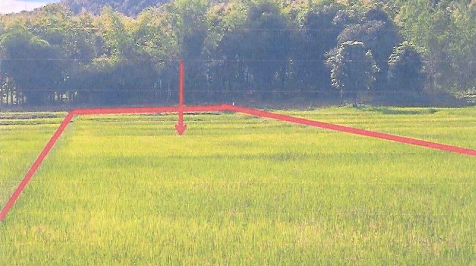 รูปที่ดินว่างเปล่า ดงเจน ภูกามยาว พะเยา